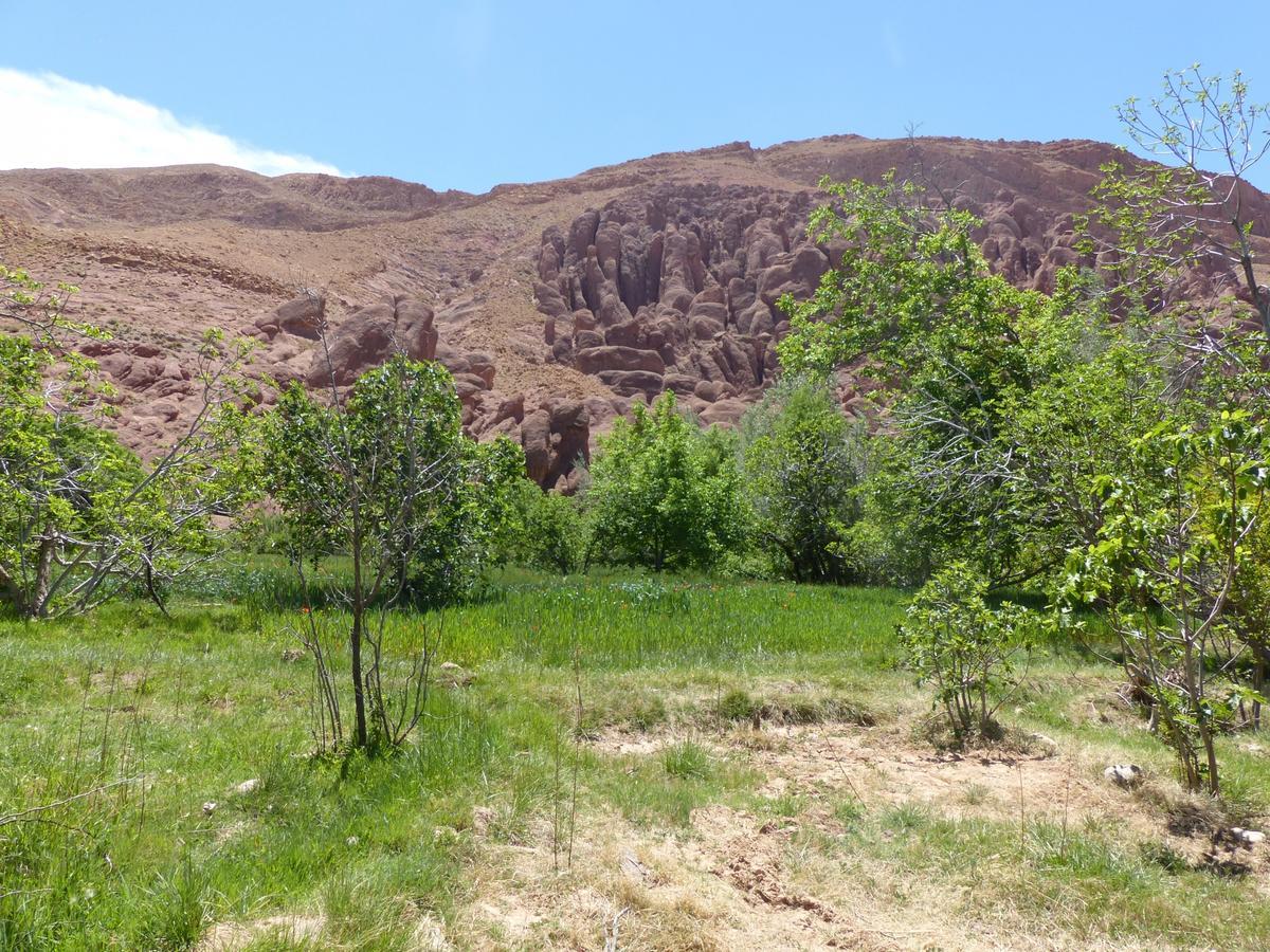 Maison D'Hote Chez La Famille Tamellalt  المظهر الخارجي الصورة
